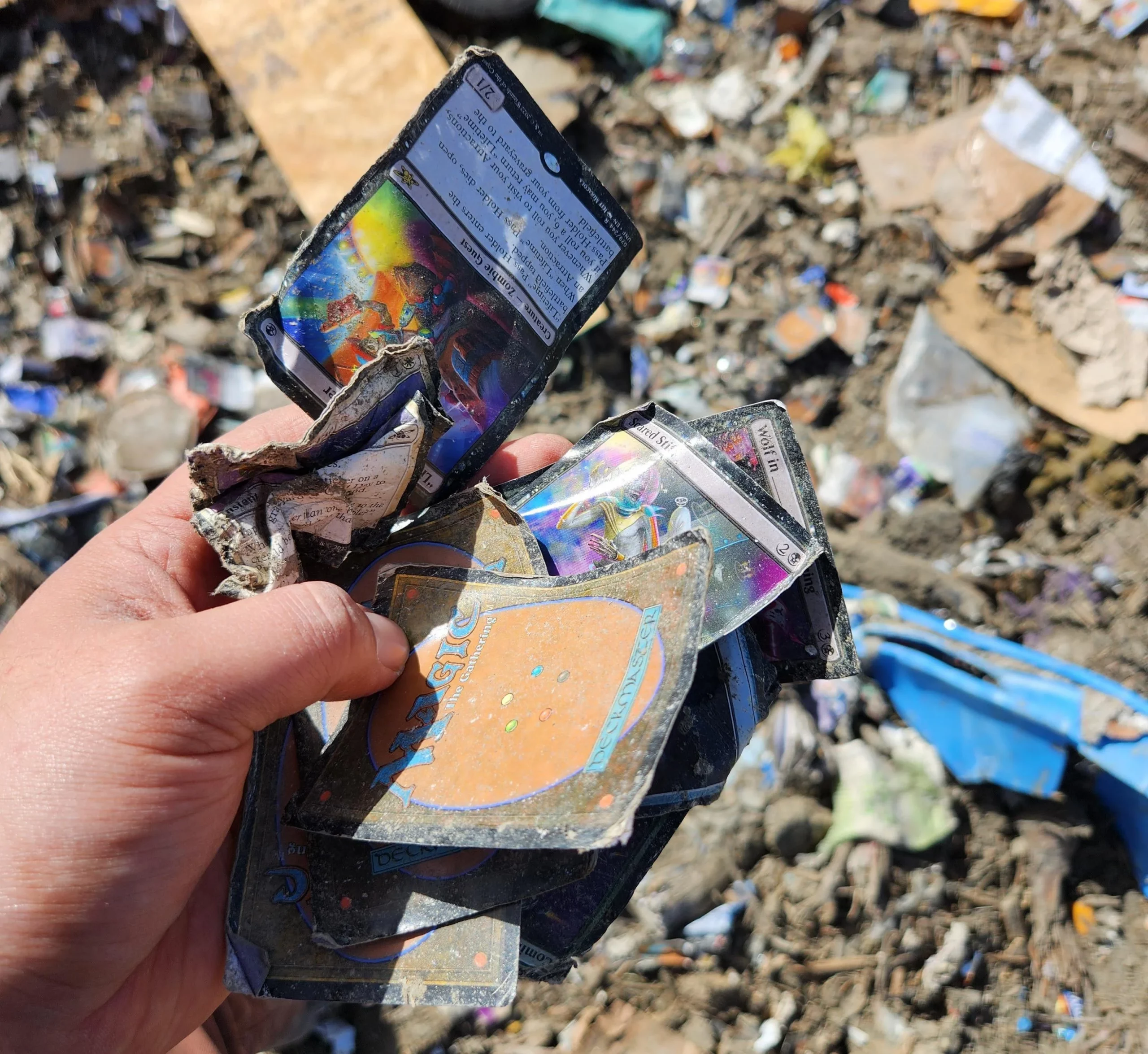 Damaged Magic cards in landfill