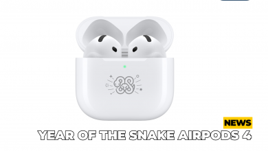 Apple Year of the Snake AirPods 4 ANC Cover